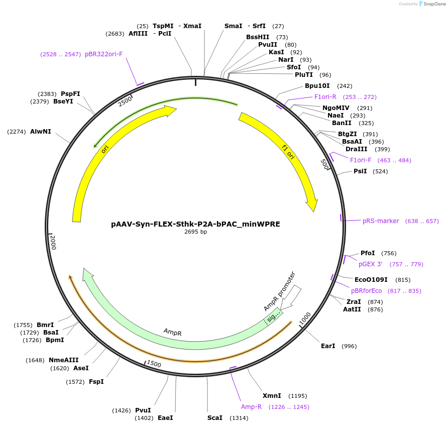 230202_map
