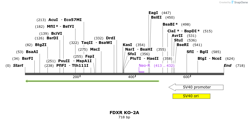 23021_map