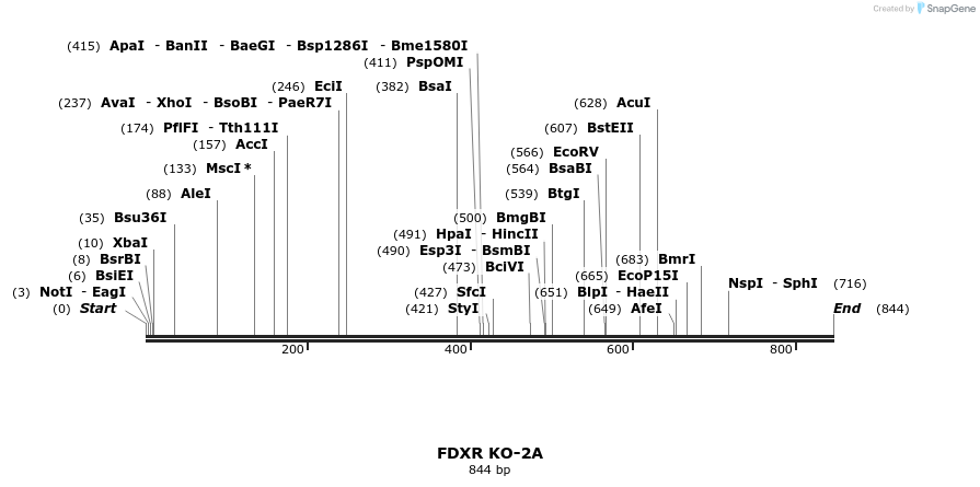 23022_map