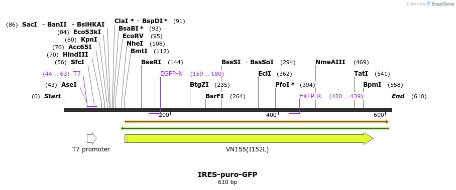 23024_map