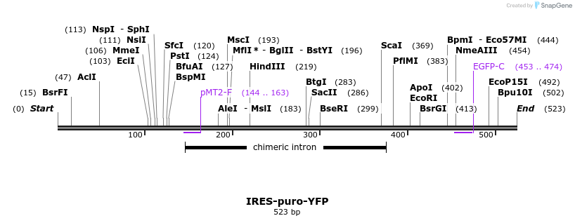 23025_map