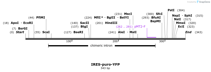 23026_map