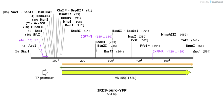 23027_map