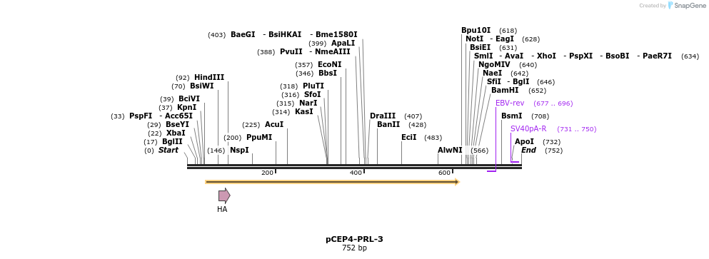 23028_map