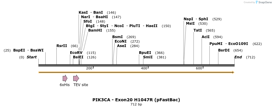 23036_map
