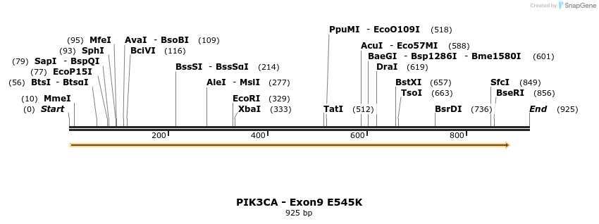 23037_map