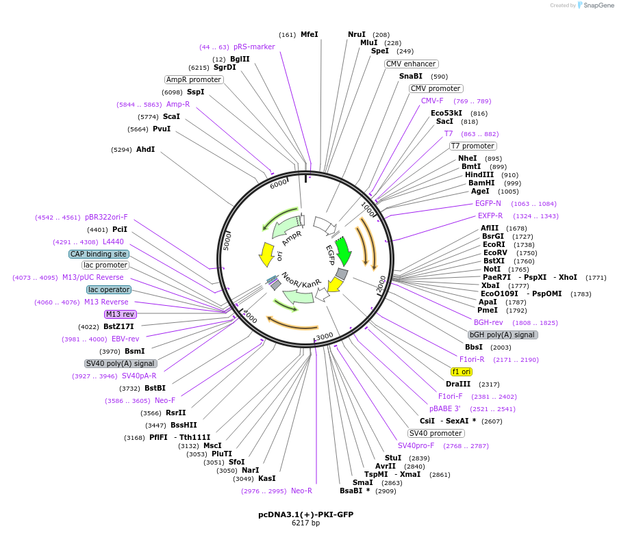 230379_map