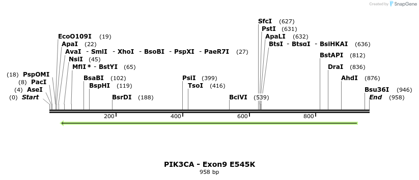 23039_map