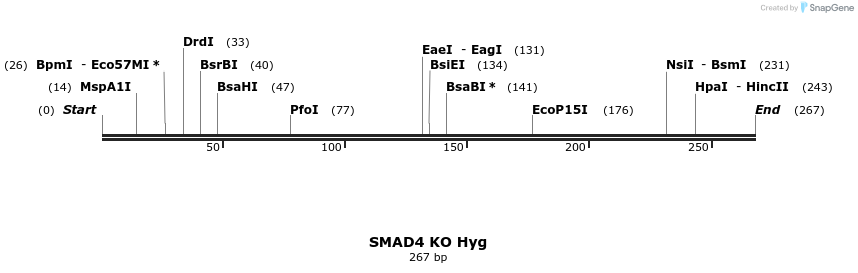 23043_map