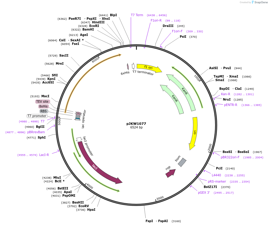 230505_map