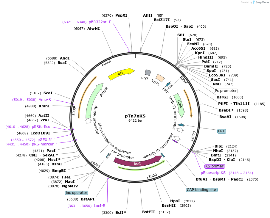 230506_map