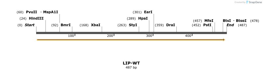 23055_map