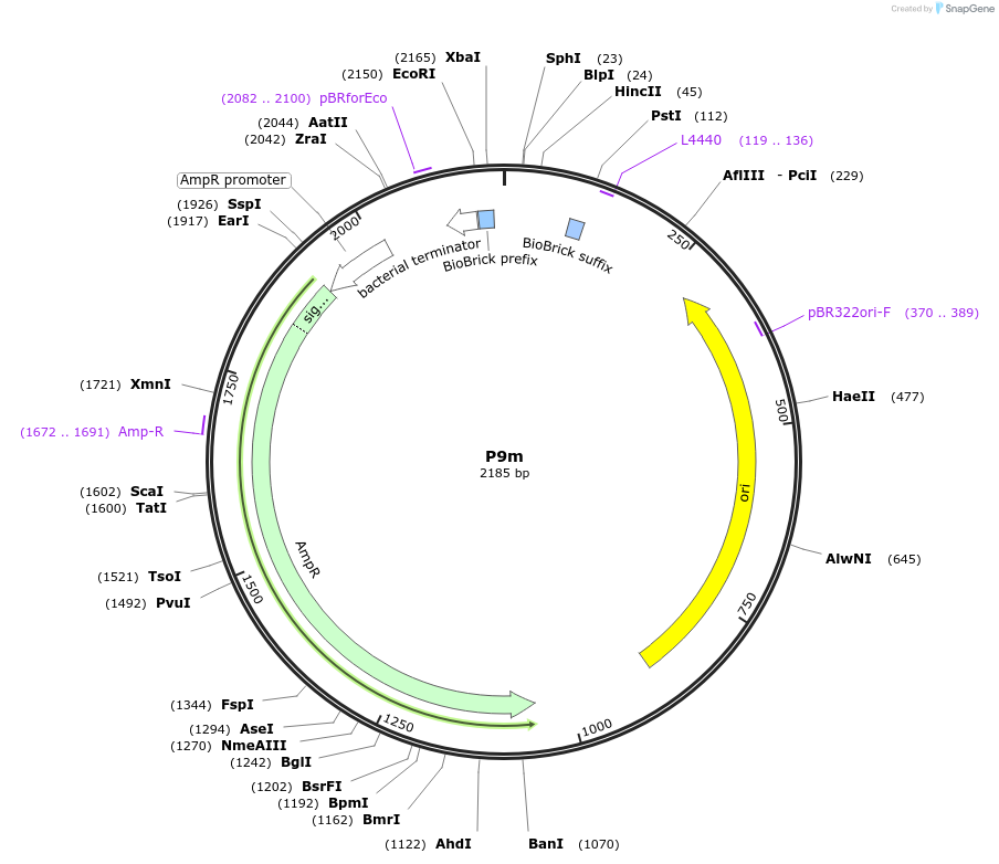 230577_map