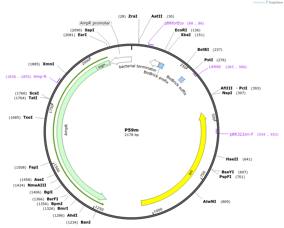 230611_map