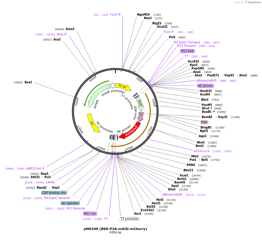 230629_map