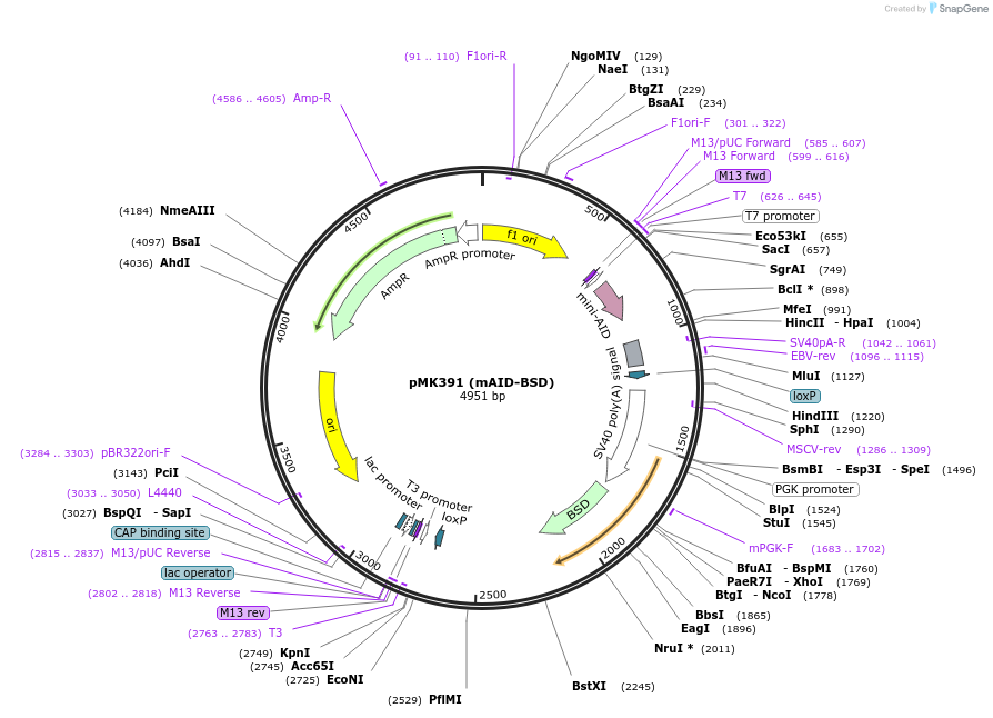 230641_map