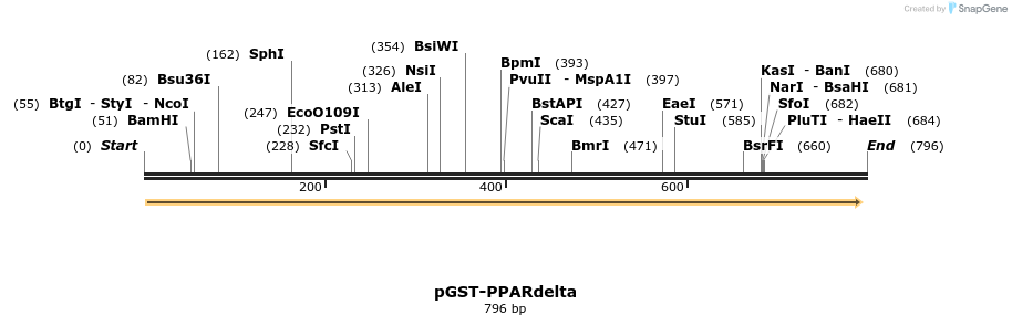 23065_map