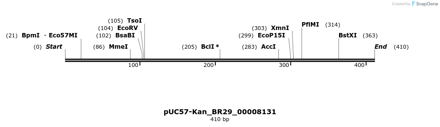 230656_map