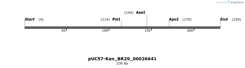 230658_map