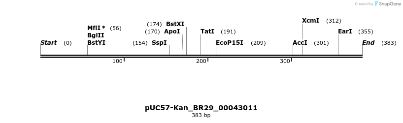 230662_map