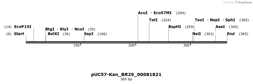 230666_map
