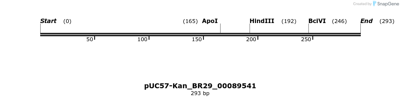 230668_map