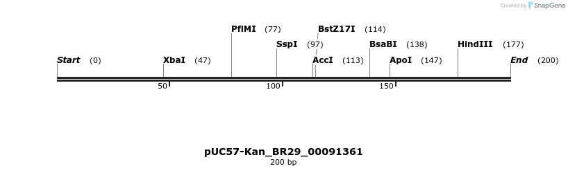 230670_map