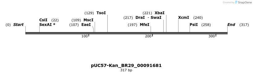 230674_map