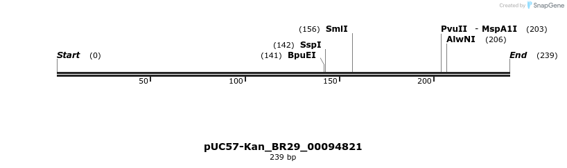 230678_map