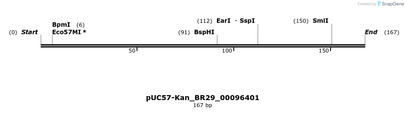 230682_map