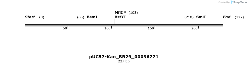 230684_map