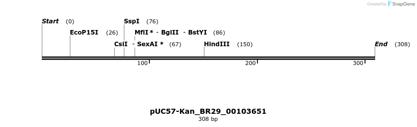 230688_map