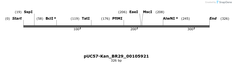 230692_map
