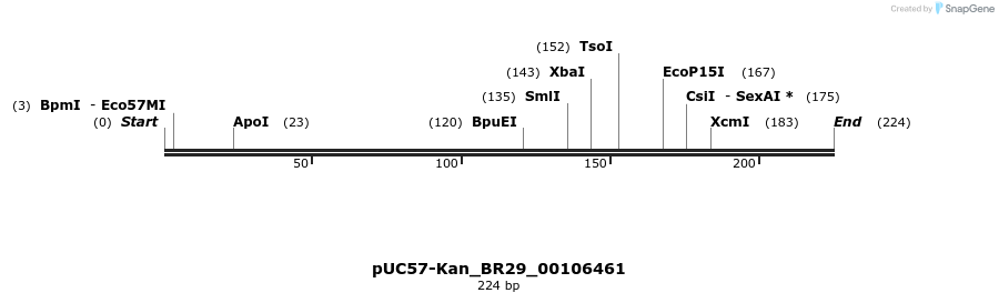 230694_map