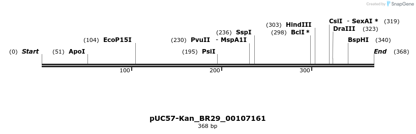 230696_map