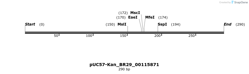 230704_map