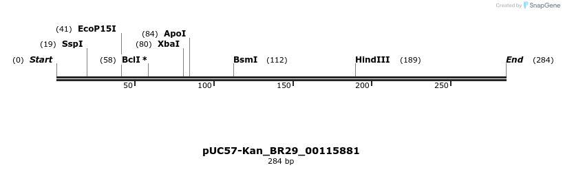 230706_map