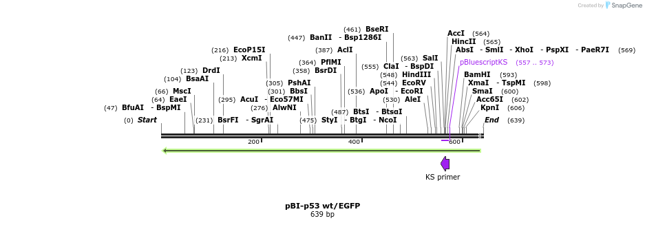 23071_map