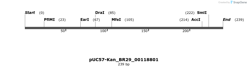 230710_map