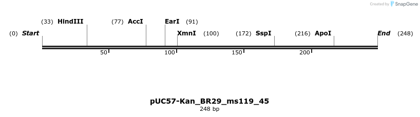 230724_map
