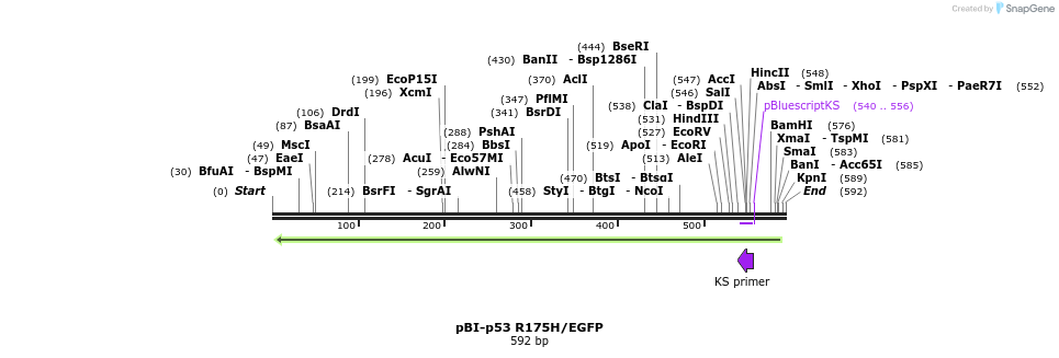 23073_map