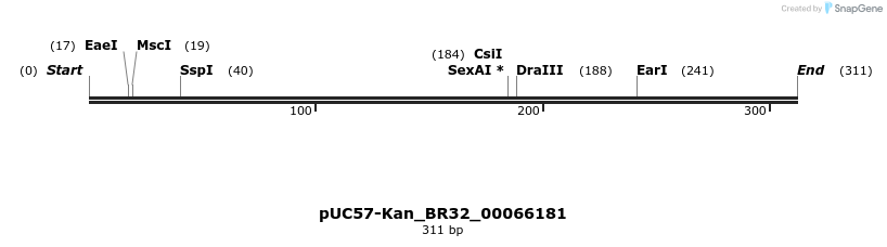 230732_map