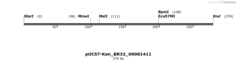 230734_map