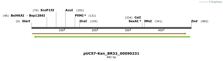 230736_map