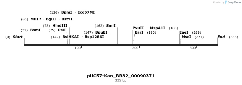 230738_map
