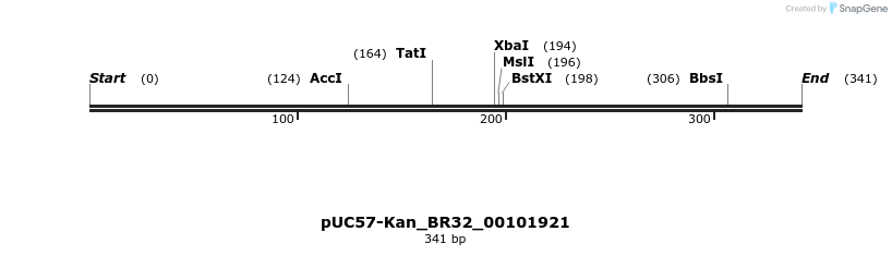 230740_map