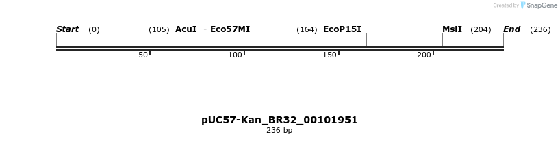 230744_map