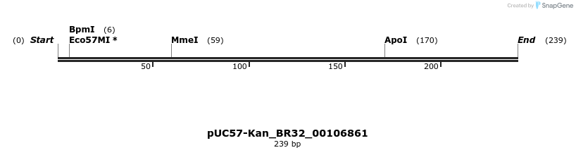 230752_map