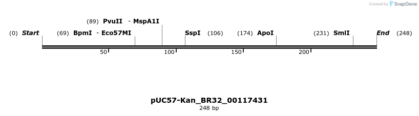 230754_map