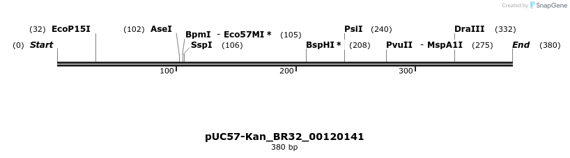 230756_map